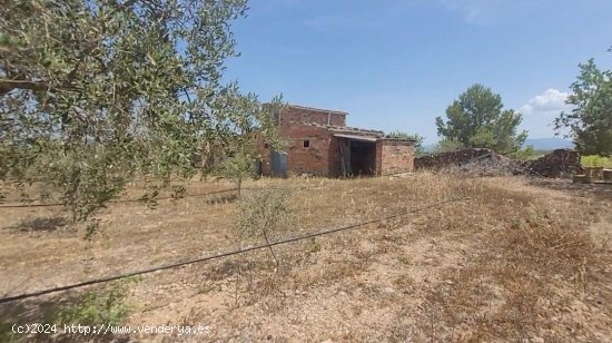  Finca en venta en Móra d Ebre (Tarragona) 