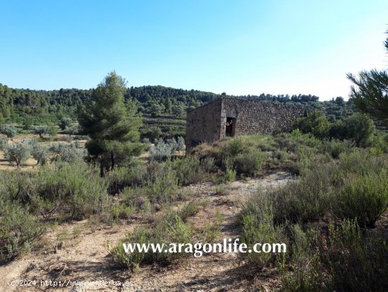 Finca en venta en Mazaleón (Teruel)