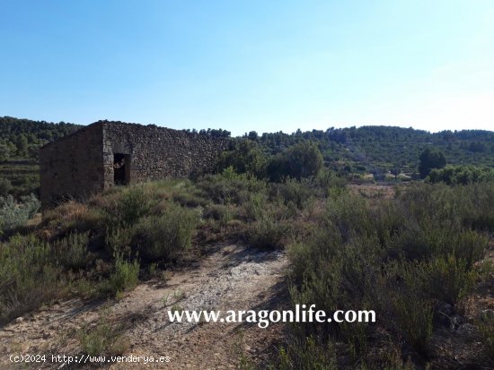 Finca en venta en Mazaleón (Teruel)