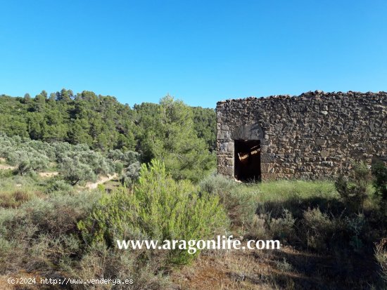 Finca en venta en Mazaleón (Teruel)