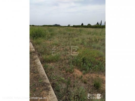 Finca en venta en Algemesí (Valencia)