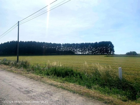 Parcela en venta en Tapia de Casariego (Asturias)