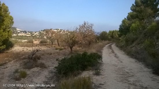 Parcela en venta en Calpe (Alicante)