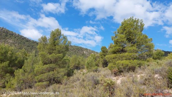 Finca en venta en La Ginebrosa (Teruel)