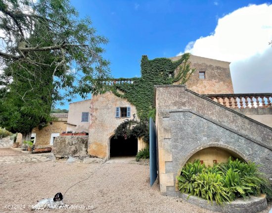 Finca en venta en Felanitx (Baleares)