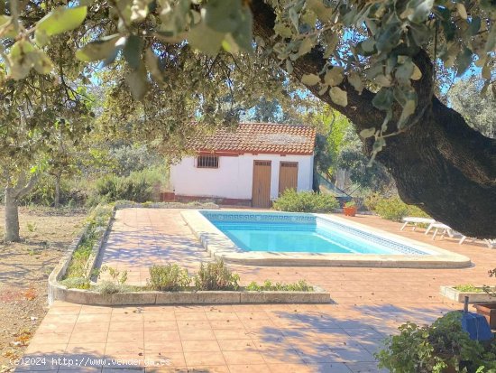 Villa en venta en Andújar (Jaén)