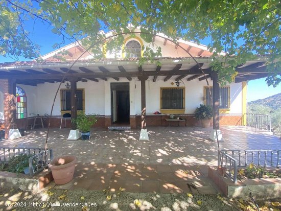 Villa en venta en Andújar (Jaén)