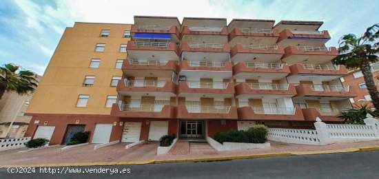 Apartamento en venta en Guardamar del Segura (Alicante)