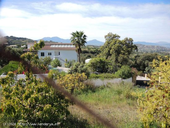 Finca en venta en Alhaurín el Grande (Málaga)