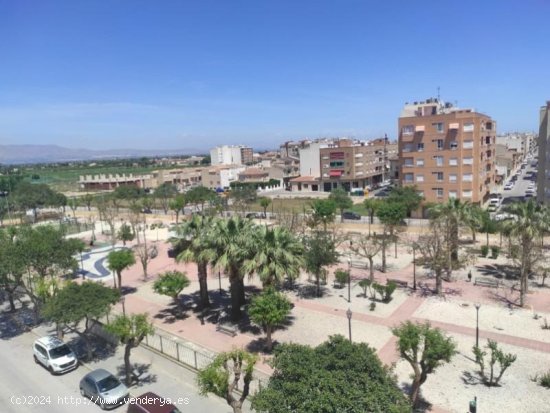 Apartamento en venta en Almoradí (Alicante)