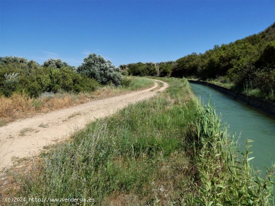 Finca en venta en Caspe (Zaragoza)