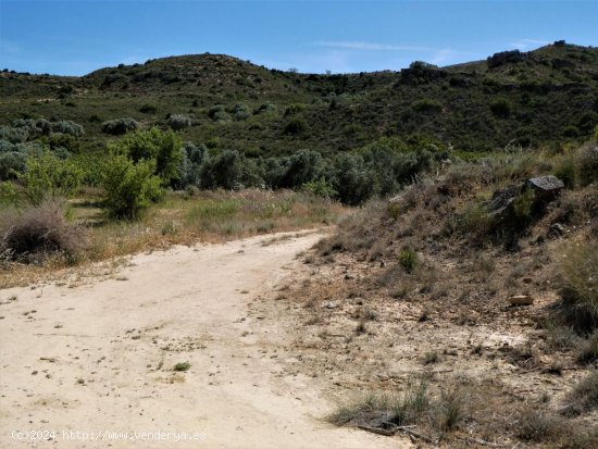 Finca en venta en Caspe (Zaragoza)