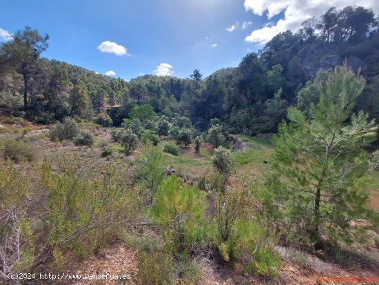 Finca en venta en Ráfales (Teruel)