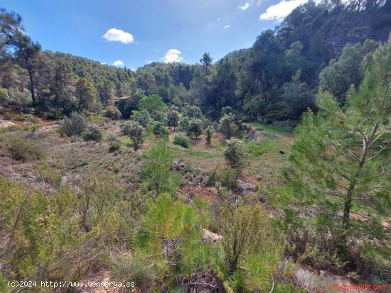 Finca en venta en Ráfales (Teruel)