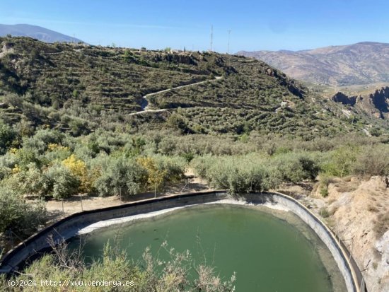 Solar en venta en Lanjarón (Granada)