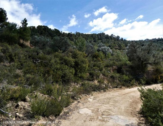  Finca en venta en Arens de Lledó (Teruel) 