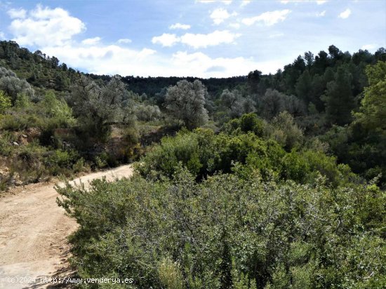 Finca en venta en Arens de Lledó (Teruel)