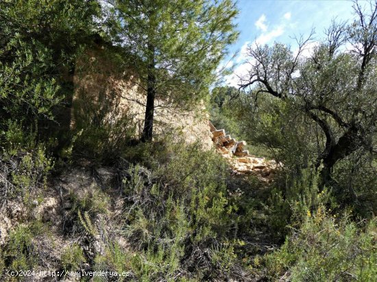 Finca en venta en Arens de Lledó (Teruel)