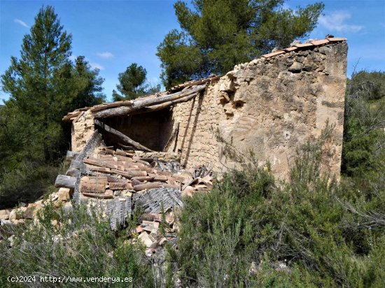 Finca en venta en Arens de Lledó (Teruel)