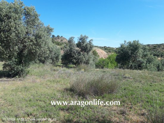 Finca en venta en Maella (Zaragoza)