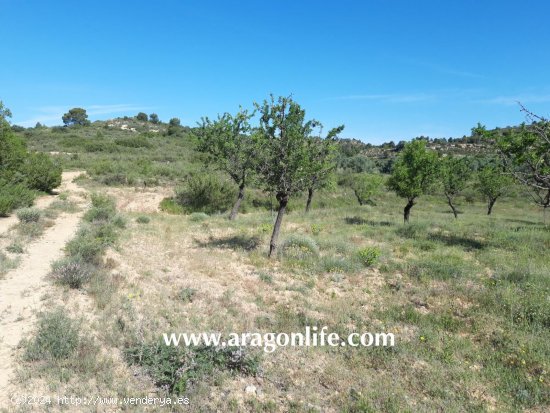 Finca en venta en Maella (Zaragoza)