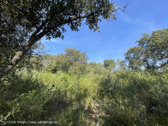 Solar en venta en Sa Pobla (Baleares)