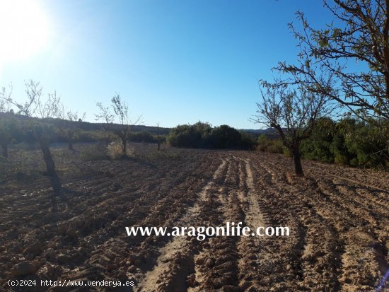 Finca en venta en Maella (Zaragoza)