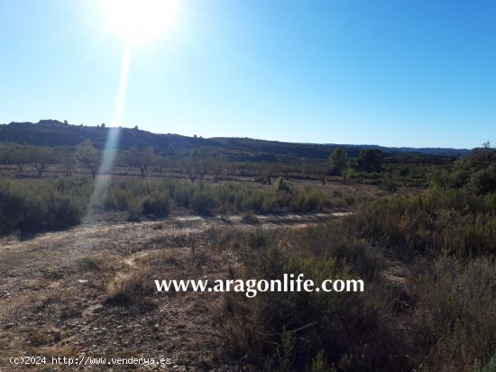 Finca en venta en Maella (Zaragoza)