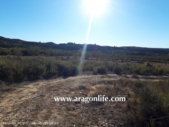 Finca en venta en Maella (Zaragoza)