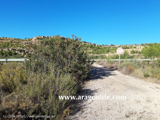 Finca en venta en Maella (Zaragoza)