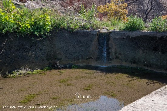 Finca en venta en Los Guajares (Granada)