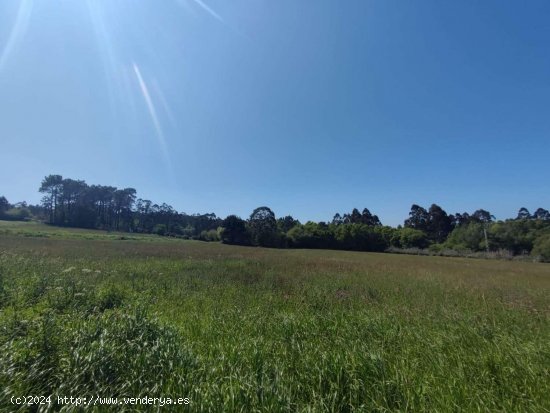 Parcela en venta en Tapia de Casariego (Asturias)