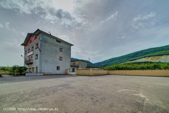 Casa en venta en Olazti (Navarra)