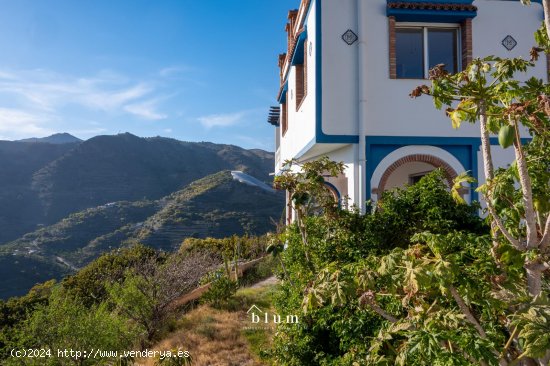 Finca en venta en Jete (Granada)