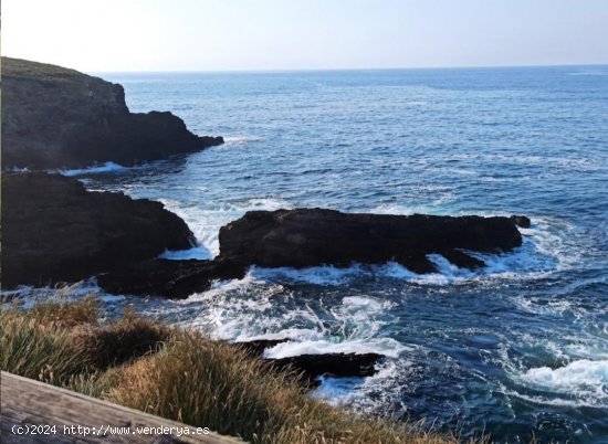 Parcela en venta en Tapia de Casariego (Asturias)