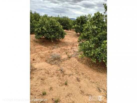 Finca en venta en Guadassuar (Valencia)