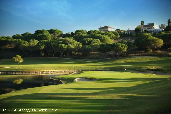  Parcela en venta en Sotogrande (Cádiz) 