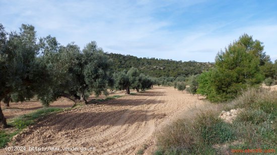 Finca en venta en Alcañiz (Teruel)