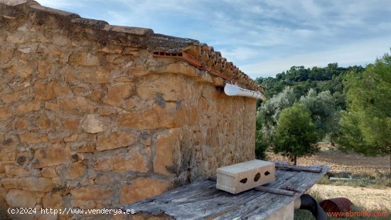 Finca en venta en Alcañiz (Teruel)