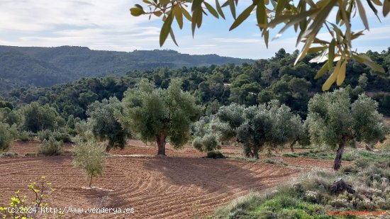 Finca en venta en Alcañiz (Teruel)