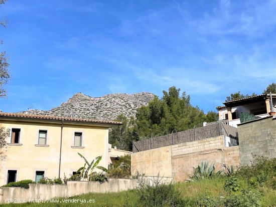 Solar en venta en Pollença (Baleares)