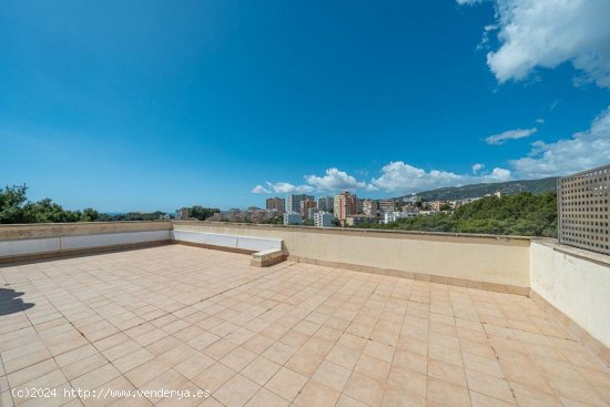 Piso en venta en Palma de Mallorca (Baleares)