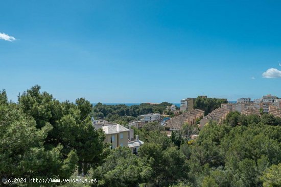 Piso en venta en Palma de Mallorca (Baleares)