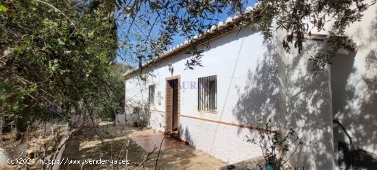  Villa en venta en Comares (Málaga) 