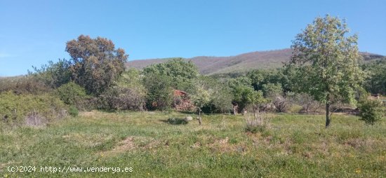  Finca en venta en Candeleda (Ávila) 