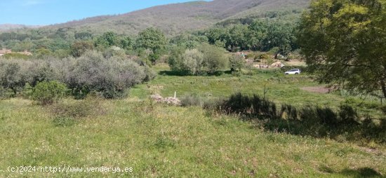 Finca en venta en Candeleda (Ávila)