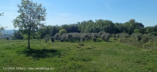 Finca en venta en Candeleda (Ávila)