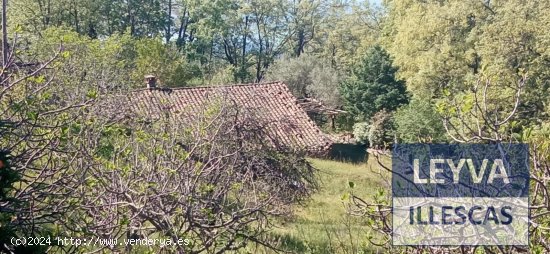 Finca en venta en Candeleda (Ávila)