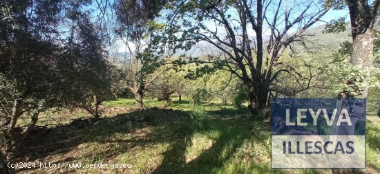 Finca en venta en Candeleda (Ávila)