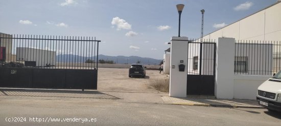 Local en alquiler en Antas (Almería)